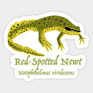 The Eastern, or Red-Spotted Newt Sticker